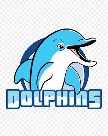 Tee-ball Sport Team Golf Tees - cute dolphin 