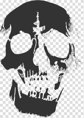 Teen Spirit Smells Skull Like Free HQ Image