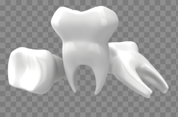 Teeth Png Image