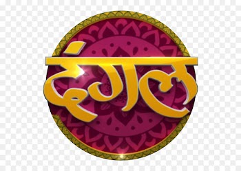 Television channel Dangal TV Television show Zee TV - Televisi&oacute;n 