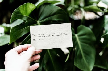 Tell me, what is it you plan to do with your one wild and precious life? Poem by Mary Oliver