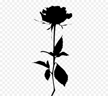 Tell Me You Love Me Garden roses Image Portable Network Graphics -  