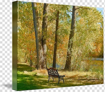 Temperate broadleaf and mixed forest Painting Gallery wrap Fauna Landscape, painting transparent background PNG clipart
