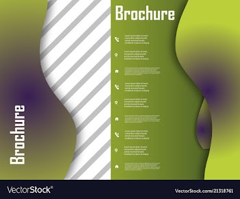 Template design for brochure annualreport vector image