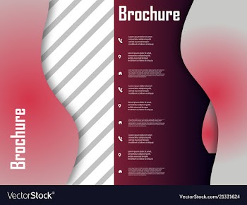 Template design for brochure annualreport vector image