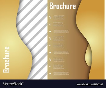 Template design for brochure annualreport vector image