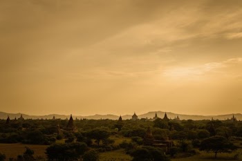Temple Peaks Through Tree-Tops