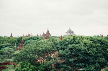 Temples & Treetops