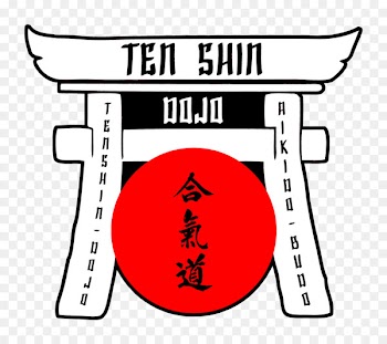 Ten Shin Dojo Aikido Aikikai Akito Takagi - aikido icon 