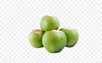 Tender Coconut Wholesale King coconut Coimbatore - Fresh green coconut coconut 