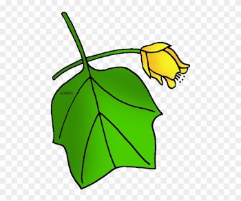 Tennessee State Tree - Tulip Tree Clip Art