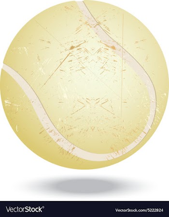 Tennis ball vector image