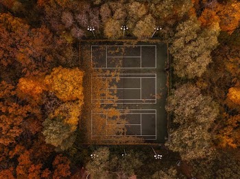 Tennis Courts In Autumn