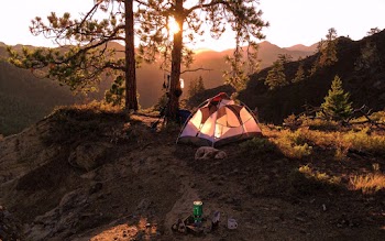 Tent Near Tree