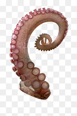 Tentacles Png, Vectors, PSD, and Clipart for Free Download | Pngtree