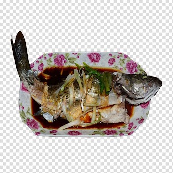 Teppanyaki Sichuan cuisine Dish Steaming Ginger, Steamed perch with scallion and ginger transparent background PNG clipart