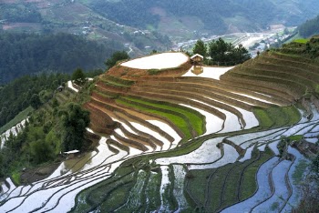 Terraces With Water