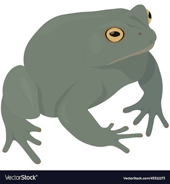 terraqueous animal green toad
