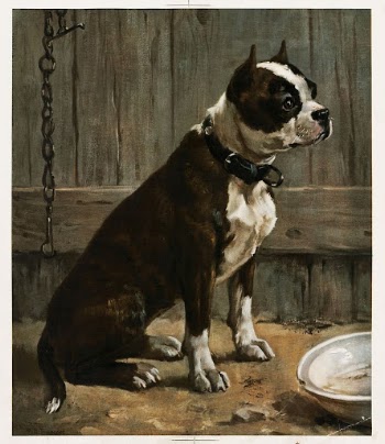Terrier seated | Free Photo - rawpixel