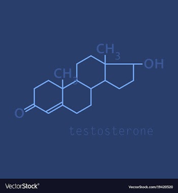 Testosterone male sex hormone androgen molecule vector image