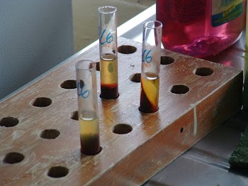 testtubesblood.jpg