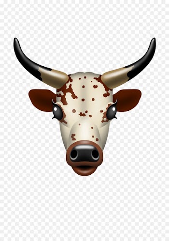 Texas Longhorn Nguni cattle South Africa Emoji - cow 