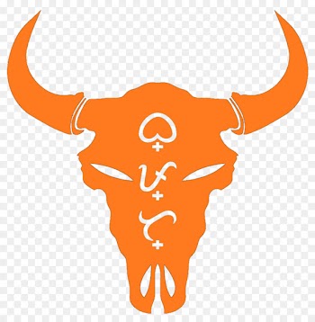 Texas Longhorns football Clip art Illustration - arnis ecommerce 