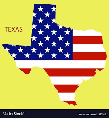 Texas state of america with map flag print on map vector image