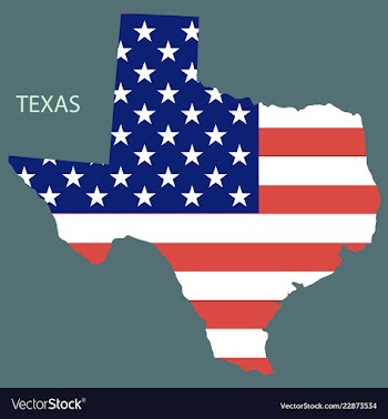 Texas state of america with map flag print on map vector image