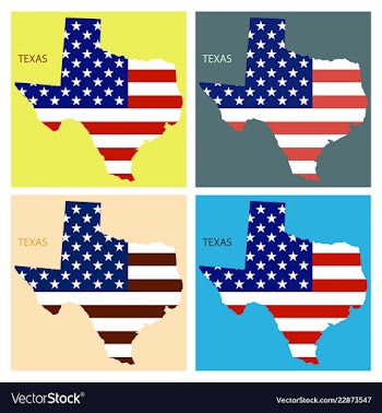Texas state of america with map flag print on map vector image
