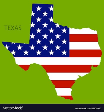 Texas state of america with map flag print on map vector image
