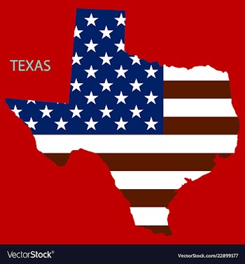 Texas state of america with map flag print on map vector image