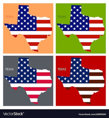 Texas state of america with map flag print on map vector image