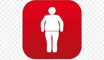 Text Speech translation Conversation - bmi sign 