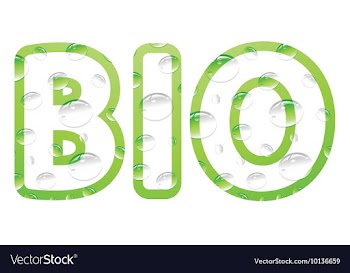 Text with bubbles vector image