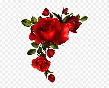 Texture And Tubes Png - Red Roses Watercolor Png