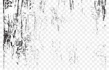Texture mapping u0422u0435u043au0441u0442u0443u0440u0430 Fundal - Wood texture 