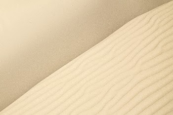 Texture. Original public domain image | Free Photo - rawpixel