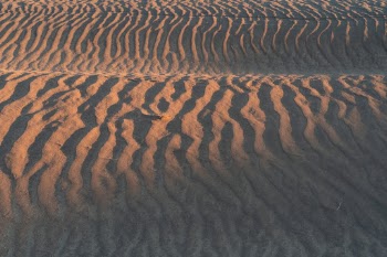 Texture photo of a sand dune about 15 minutes before sunset at the Christmas Valley Sand Dunes in the Oregon High Desert. 