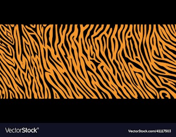texture tiger orange stripe black background