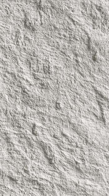 Textured Abstract Gray Wall Surface