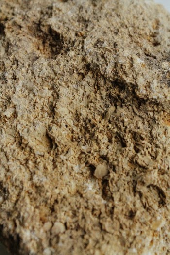 Textured background of limestone with rugged surface · Free Stock Photo