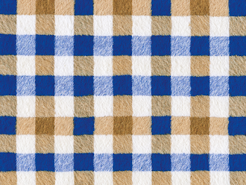 Textured Blue and Brown Checkered Table Cloth