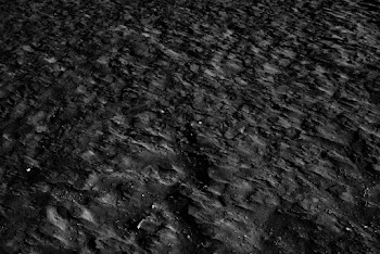 Textured Gray Ground