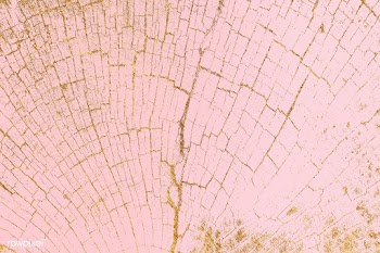 Textured pink wood rings background | Free  photo - 2294182