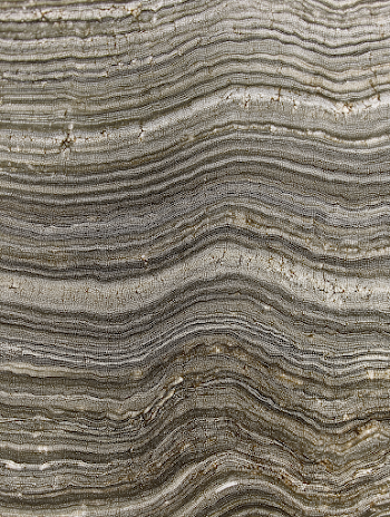 Textured Stratified Stone Surface