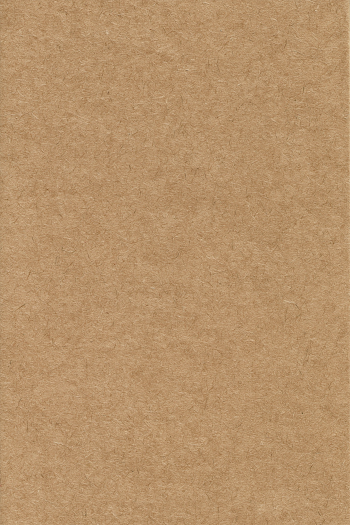 Textured Unbleached Kraft Paper Background