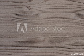 Textured wooden plank