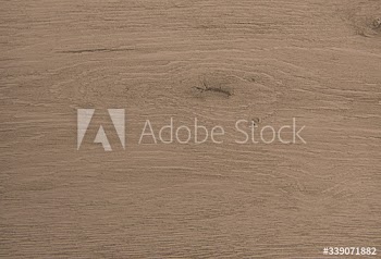Textured wooden plank