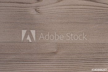 Textured wooden plank
